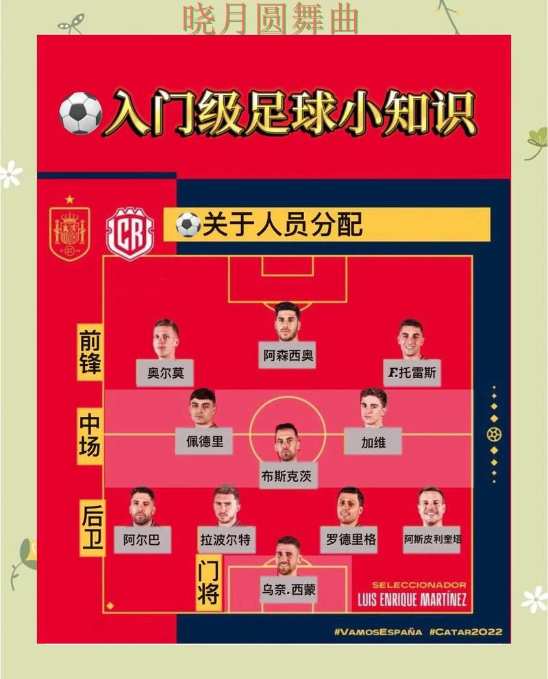 世界杯买球官网新手最容易踩的坑有哪些完整教学